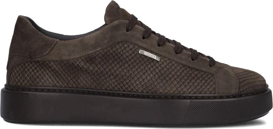 Antony Morato Mmfw01938 Sneakers Heren Taupe