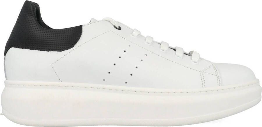 Antony Morato sneakers MMFW01150-LE300001 Wit