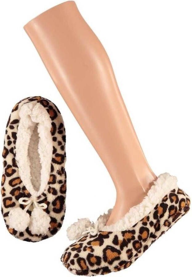 Apollo Ballerina pantoffels luipaard print bruin dames sloffen damessloffen