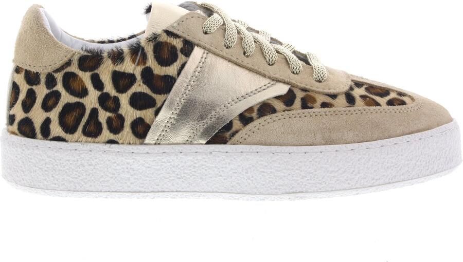 Aqa Dames Sneakers A8909-2518-a04 Leopard Beige - Foto 2