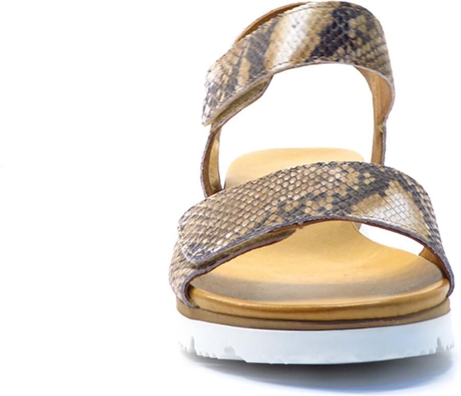 AQA Shoes Bruin print open A8900 SNACOG Bruin