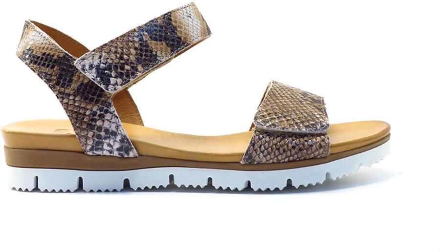 AQA Shoes Bruin print open A8900 SNACOG Bruin