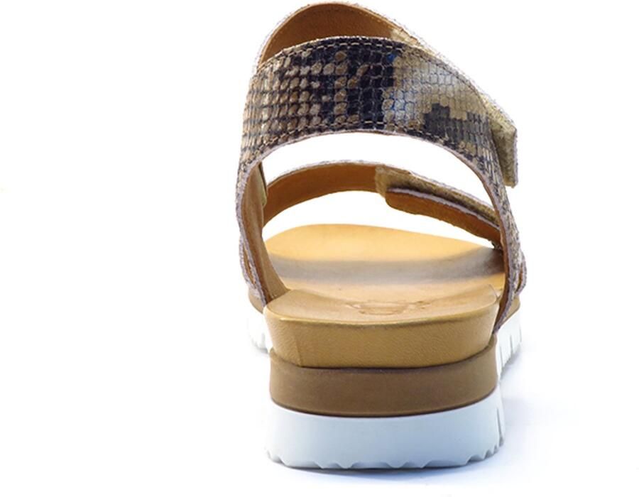 AQA Shoes Bruin print open A8900 SNACOG Bruin