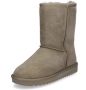 Ara 1229919 Volwassenen Gevoerde laarzenSnowbootsDames laarzen Taupe - Thumbnail 1