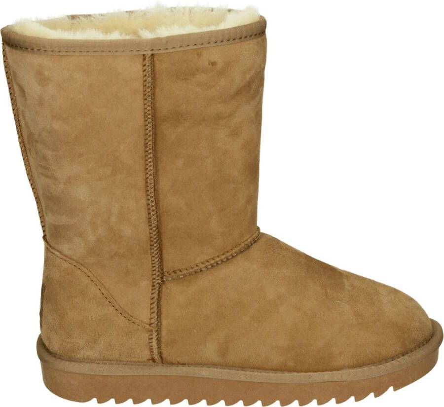 Ara 1229919 Volwassenen Gevoerde laarzenSnowbootsDames laarzen Cognac