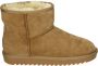 Ara 1229921 Volwassenen Gevoerde laarzenSnowbootsDames laarzen Cognac - Thumbnail 1