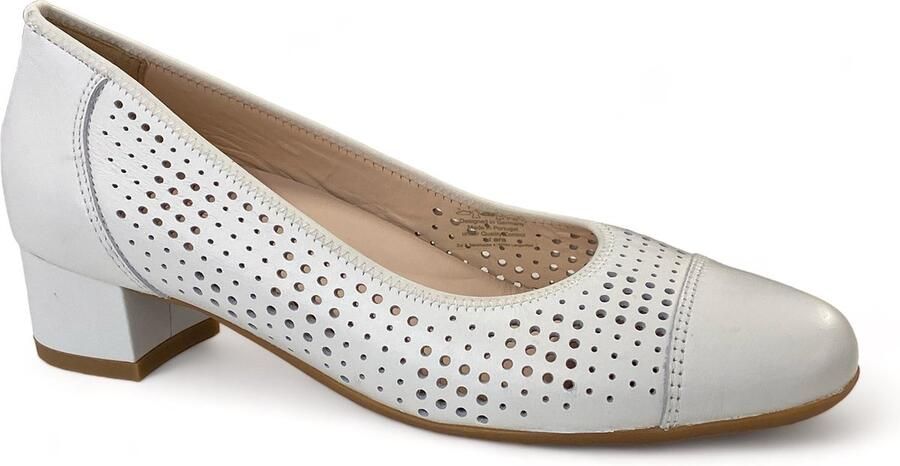 Ara 12-35827-04 Pump wit