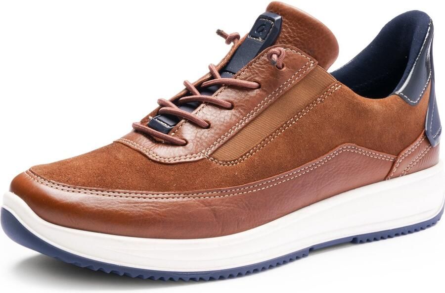 Ara Sneaker Osaka bruin