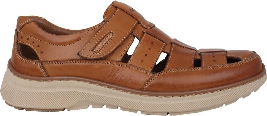 Ara Pedro heren sandaal bruin