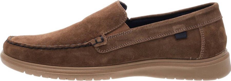 Ara Bruin 11-35701-24 Lauro
