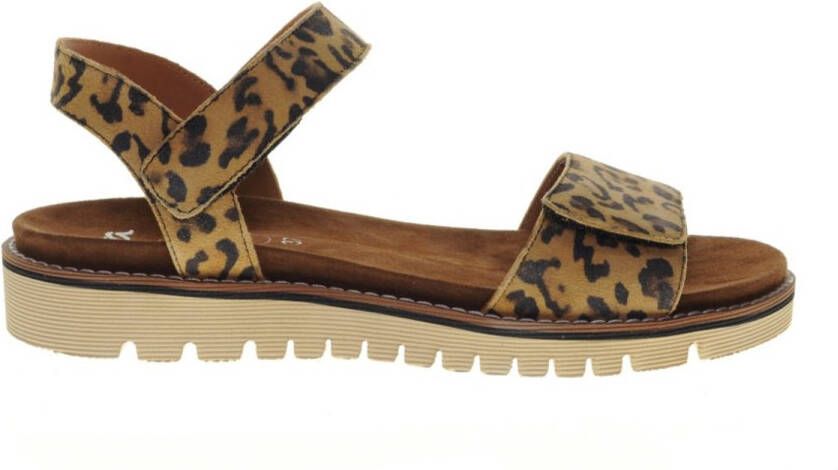 Ara Sandalen Leopard