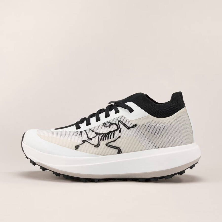 Arcteryx Mens Sylan Pro