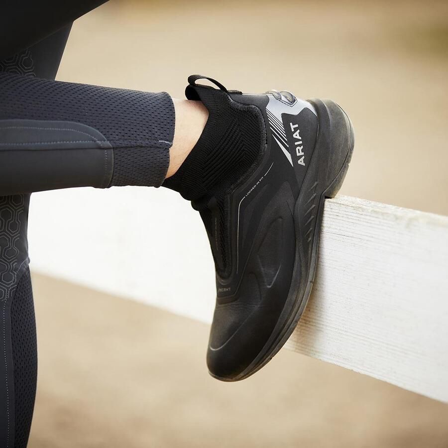 Ariat Jodphur Ascent Black 38.5 Zwart Stalschoenen - Foto 2