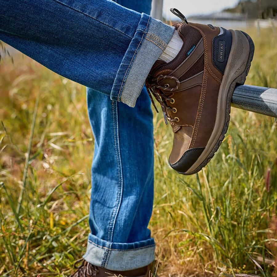 Ariat Stalschoenen Terrain Trek H2o Donkerbruin