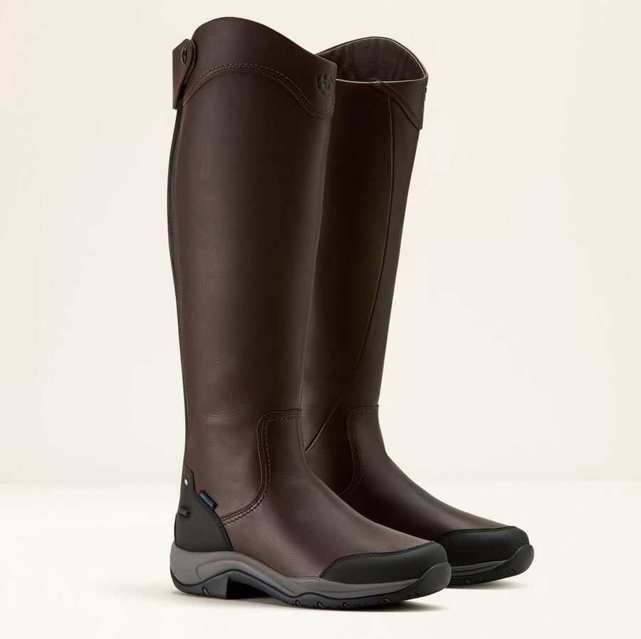 Ariat Telluride Hoge Waterdichte Laars Donkerbruin