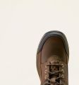 Ariat Terrain Trek Waterproof Boot Dark Chocolate 38.5 Bruin - Bruin