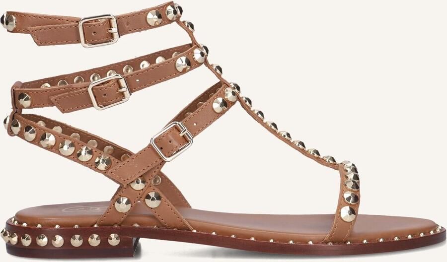 ASH Dames Play Maat: 40 Materiaal: Leer Kleur: Bruin - Foto 3