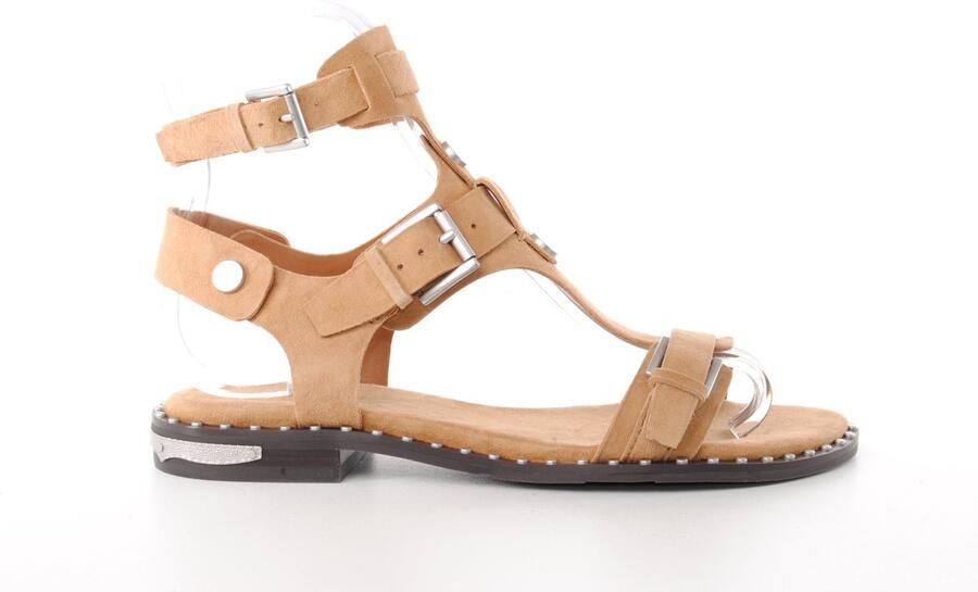 Ash Italia dames sandaal Pia suède camel