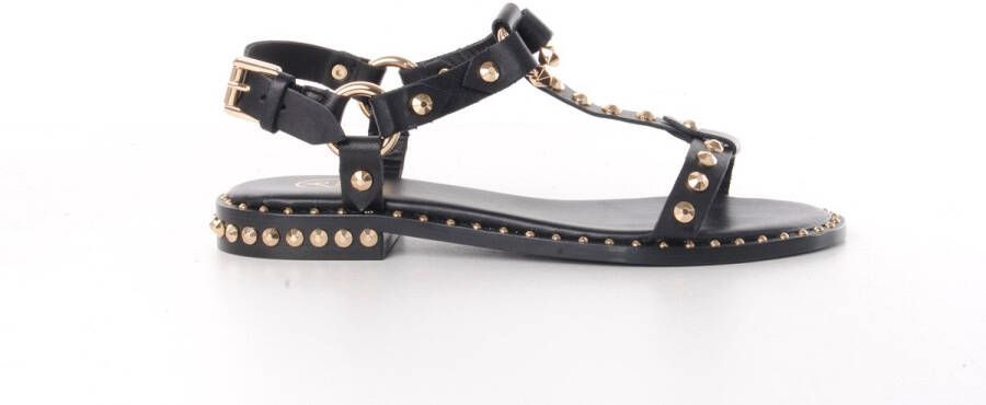 ASH Italia dames sandaal Patsy in zwart leder met studs