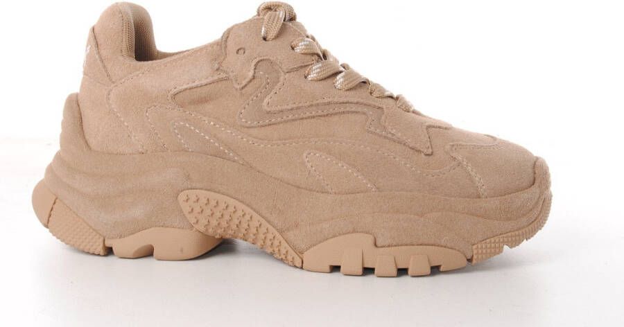 ASH Italia dames sneaker Addict Bis suède beige