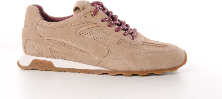ASH Italia dames sneaker Kasar suède beige