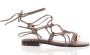 Ash Modieuze Platte Sandalen voor Vrouwen Brown Dames - Thumbnail 1