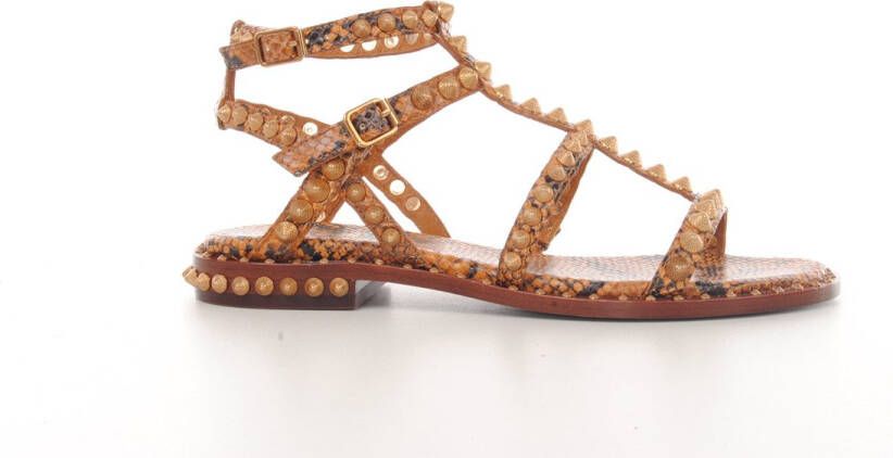 ASH Italia sadalen in bruine python print