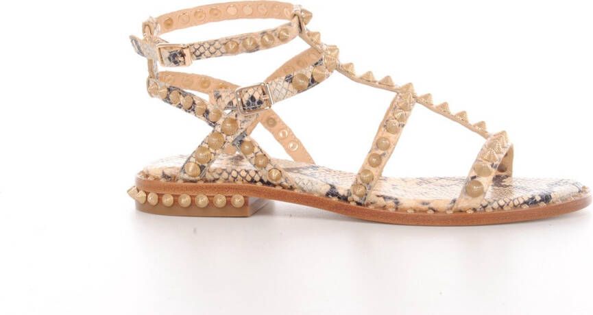ASH Italia sandalen in beige python print