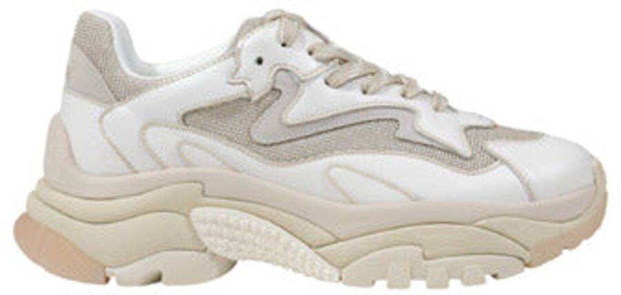 Ash Low-Top Sneakers Addict White Gold Sneaker in wit