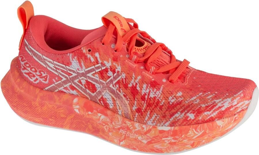 ASICS Noosa TRI 16 Hardloopschoenen Flexibel Ade d