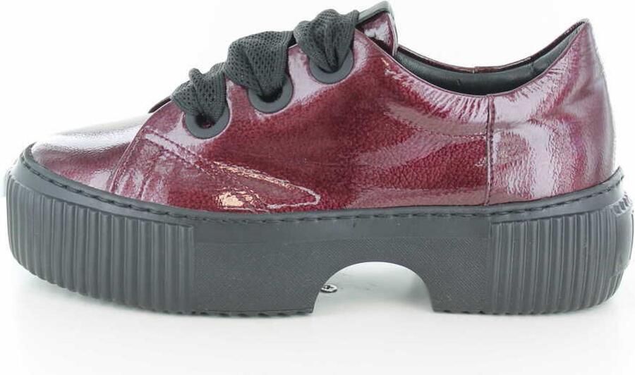 Attilio Giusti Leombruni D925095 Sneaker bordeau dames sneakers rood