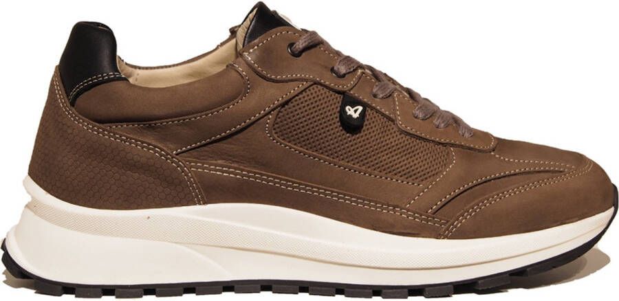 Australian Mazzerato Sneakers Heren Bruin