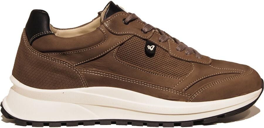Australian Mazzerato Sneakers Heren Bruin