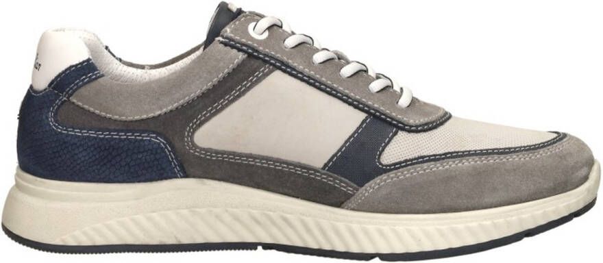 Australian Maurizio grey blue combi Multi grijs