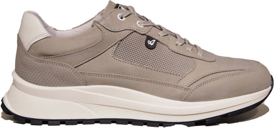 Australian Mazzerato Grijs