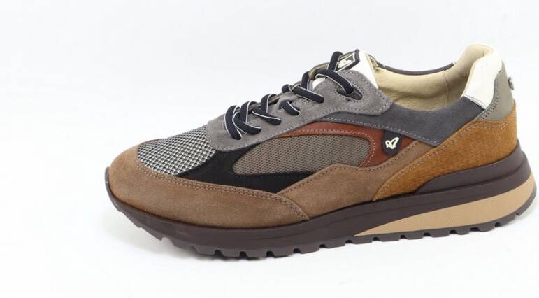 Australian Sparrow 1700.01-L58