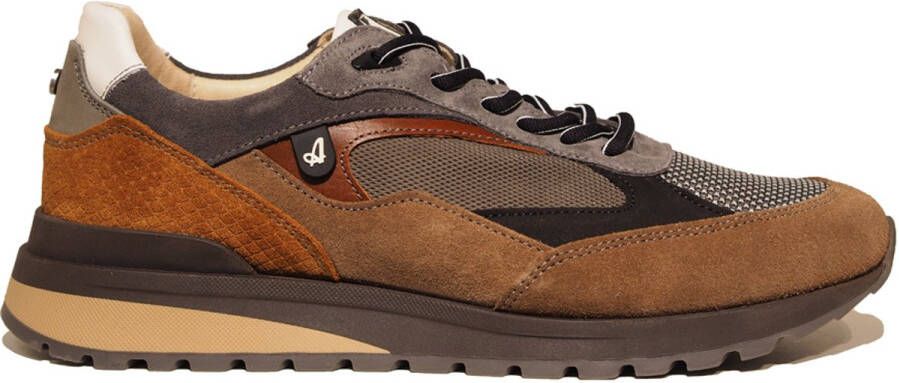 Australian Sparrow taupe leather Kleur Taupe)