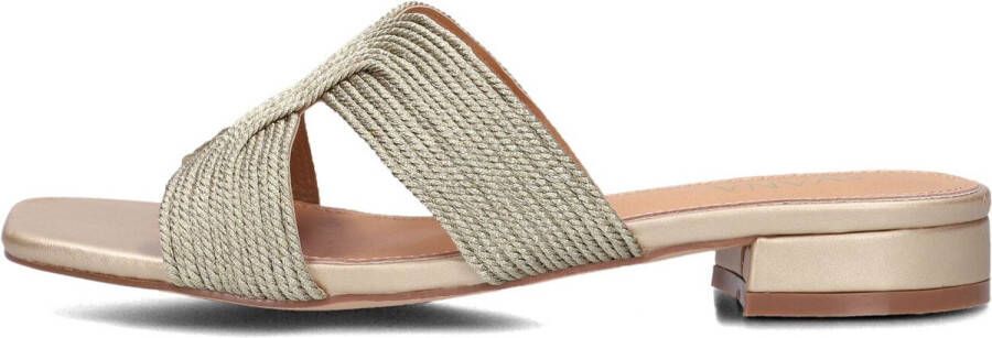 AYANA Slippers Dames 0677-1 Maat: 36 Materiaal: Raffia Kleur: Goud - Foto 2