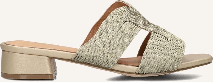 AYANA Slippers Dames 0325-8 Maat: 39 Materiaal: Textiel Kleur: Goud - Foto 2
