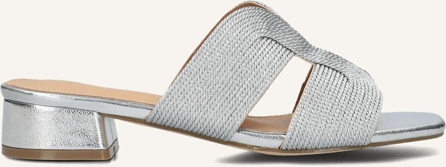 AYANA Slippers Dames 0325-8 Maat: 42 Materiaal: Textiel Kleur: Zilver - Foto 2