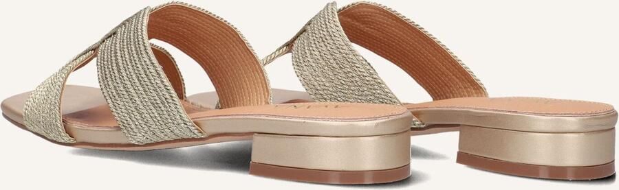 AYANA Slippers Dames 0677-1 Maat: 40 Materiaal: Raffia Kleur: Goud - Foto 2