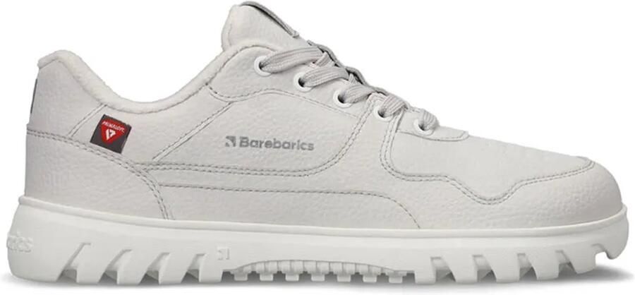 Barebarics Zing Frost Barefoot Schoenen Grijs Man