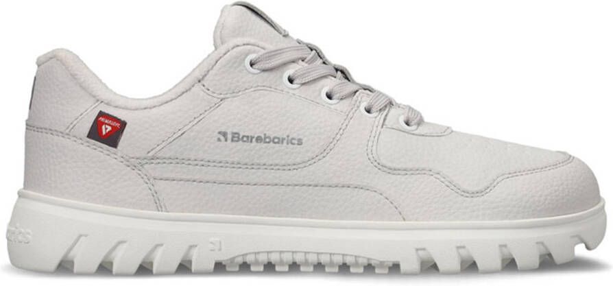 Barebarics Zing Frost Barefoot Schoenen Grijs Man