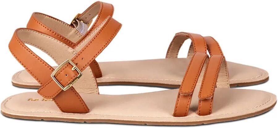 Be Lenka Summer 2.0 Barefoot Schoenen Bruin Man