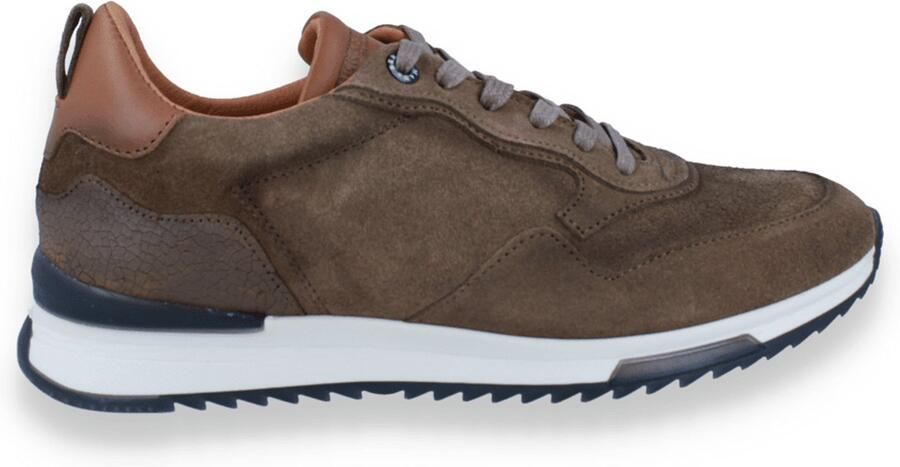 Berkelmans Heren Kyalami Brown Suede BRUIN