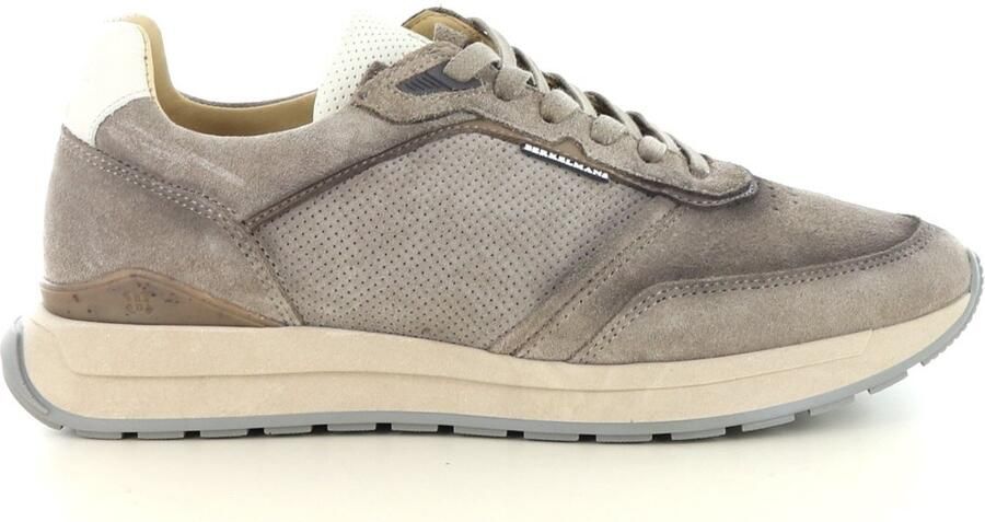 Berkelmans Hondo wijdte G