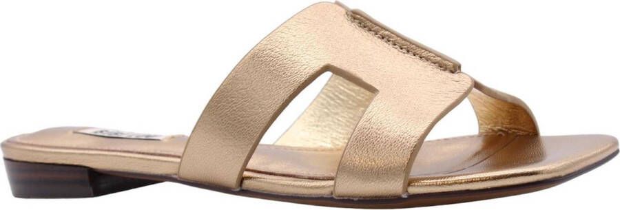 Bibi Lou Stijlvolle Zomer Sliders Brown Dames