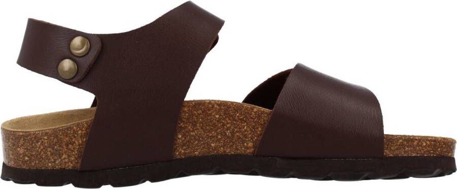 BIO 71123ZOKO Bruin
