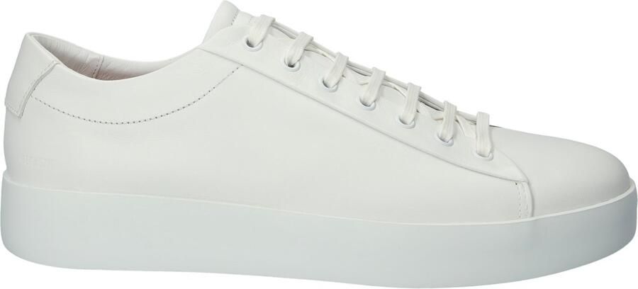 Blackstone MAYNARD BG350 White Sneaker (low) Heren White