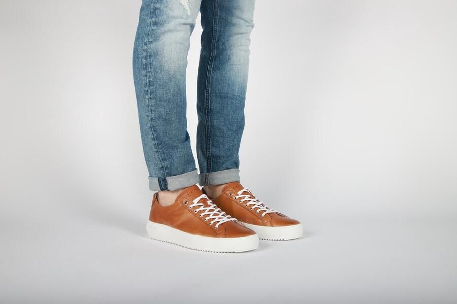 Blackstone MORGAN LOW ZG18 Rust Sneaker (low) Heren Cognac - Foto 5